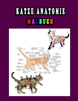 Katze Anatomie Malbuch: Katze Anatomie Malbuch für Tierarzthelferinnen und Medizinstudenten ... Perfektes Geschenk für Tiermedizinstudenten