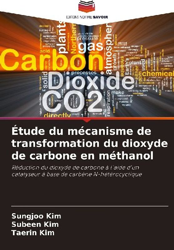 Étude du mécanisme de transformation du dioxyde de carbone en méthanol