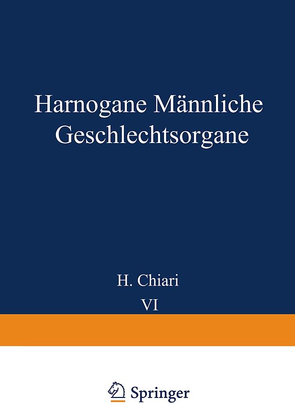 Harnorgane Männliche Geschlechtsorgane
