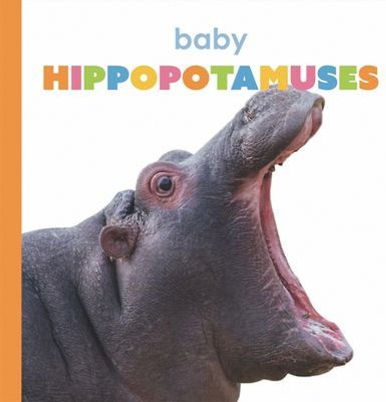 Baby Hippopotamuses