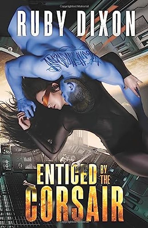 Enticed By The Corsair: A SciFi Alien Romance (Corsairs, Band 3)