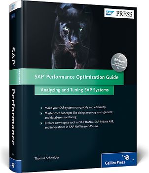 SAP Performance Optimization Guide