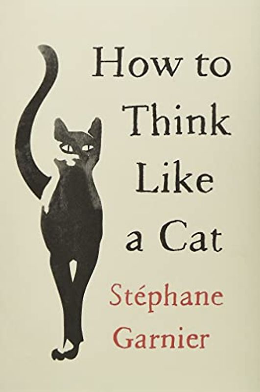 How to Think Like a Cat