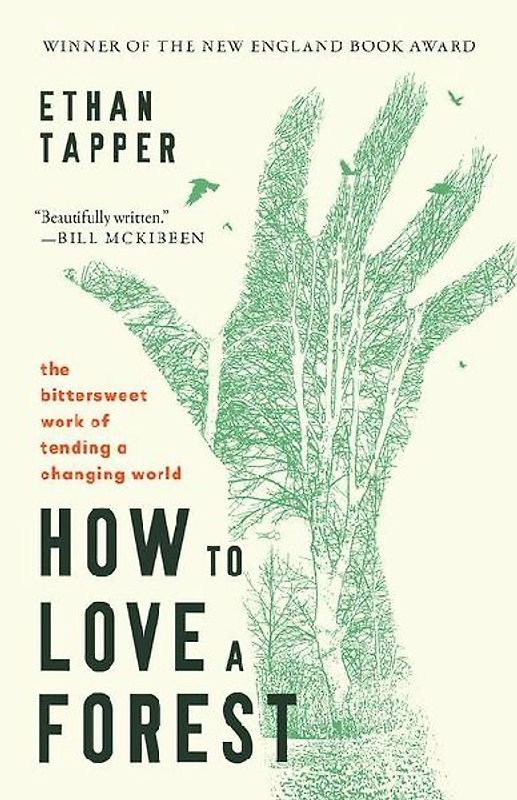 How to Love a Forest