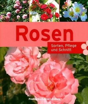 Rosen