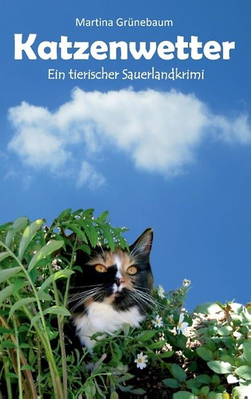 Katzenwetter