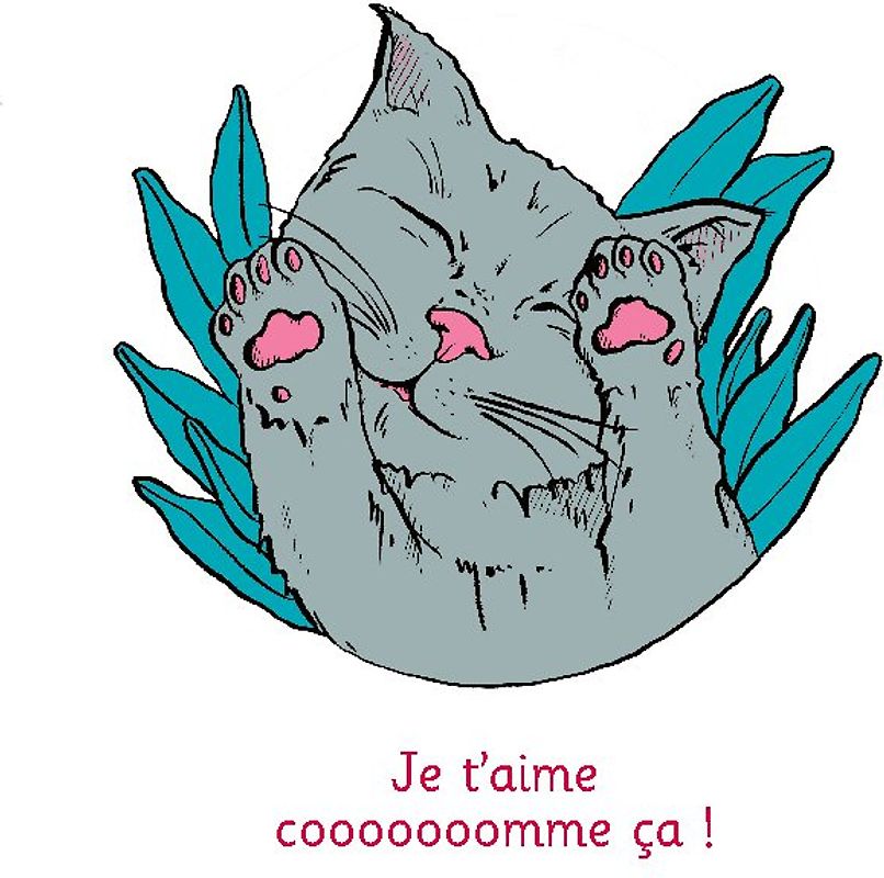 Je t'aime cooooooomme ça ! - Illustré par Anne Bory