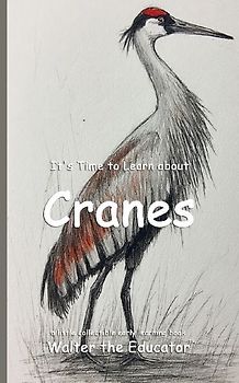 It's Time to Learn about Cranes