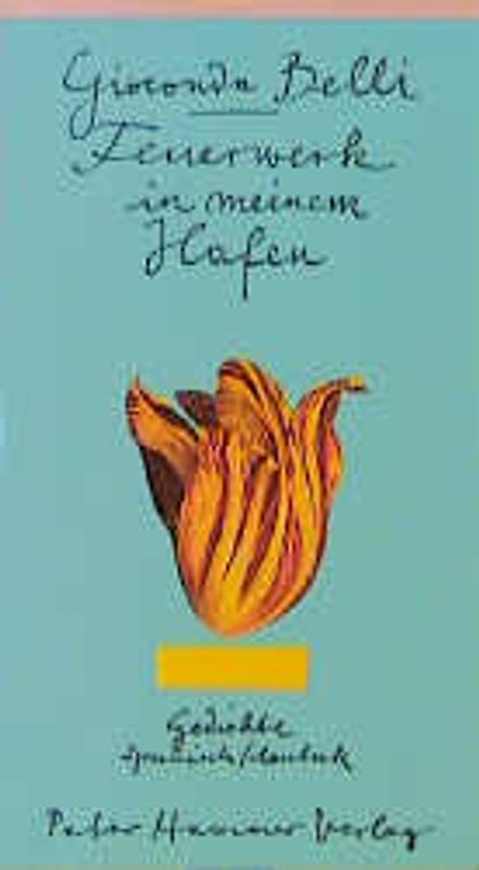 Feuerwerk in meinem Hafen