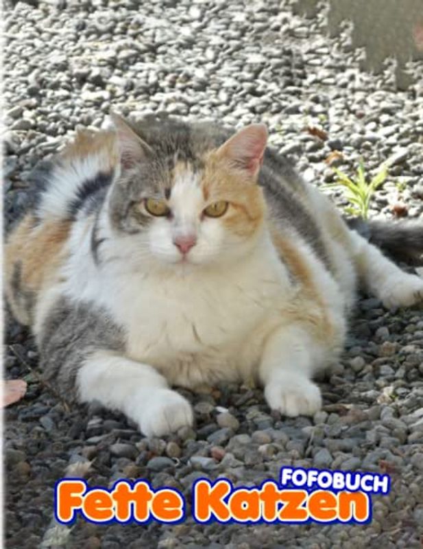 Fette Katzen Fotobuch: "Funny Kittens Colorful Photos For All Ages To Relax And Unwind | Perfect Gift For Special Occasions"