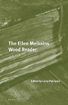 The Ellen Meiksins Wood Reader