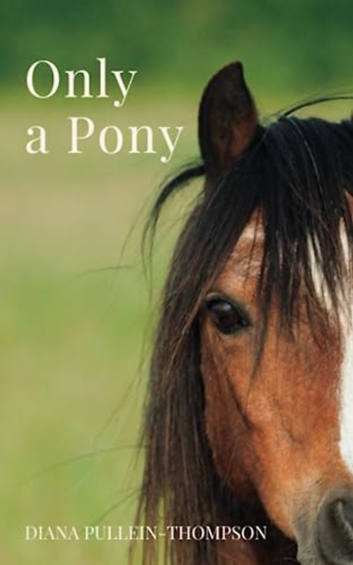 Only a Pony (Augusta and Christina, Band 4)