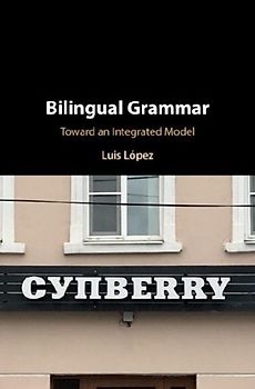 Bilingual Grammar