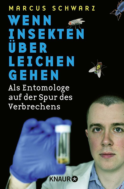 Wenn Insekten über Leichen gehen