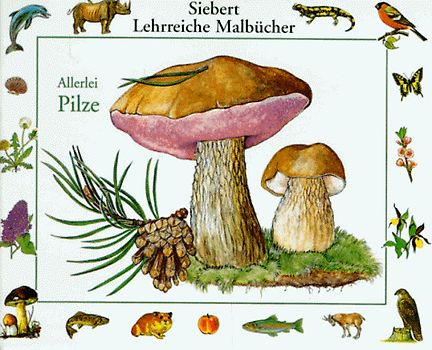 Allerlei Pilze