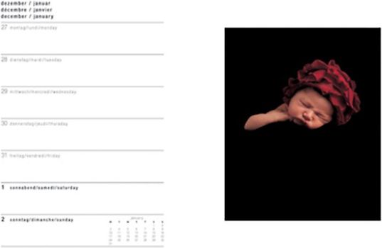 Tagebuch 2005. Dt. /Engl. /Franz.