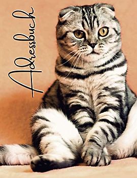 Adressbuch: Telefonbuch mit Inhaltsverzeichnis, A bis Z | A4 Format, praktisches Heft | Original | 728 Kontakte