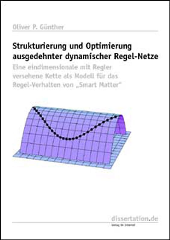 Strukturierung und Optimierung ausgedehnter dynamischer Regel-Netze