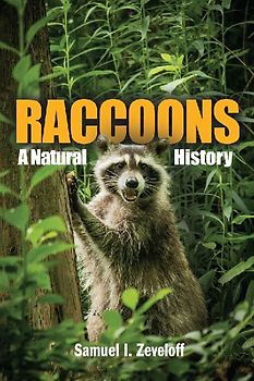Raccoons