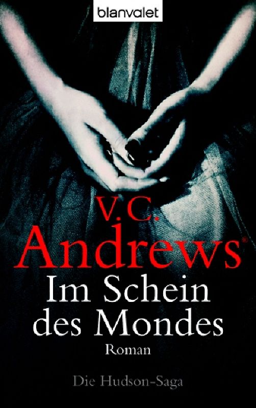 Hudson-Saga / Im Schein des Mondes