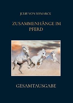 GESAMTAUSGABE ZUSAMMENHÄNGE IM PFERD
