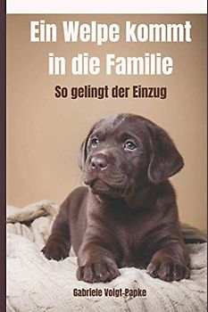 Ein Welpe kommt in die Familie: So gelingt der Einzug