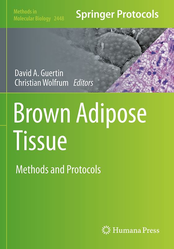 Brown Adipose Tissue