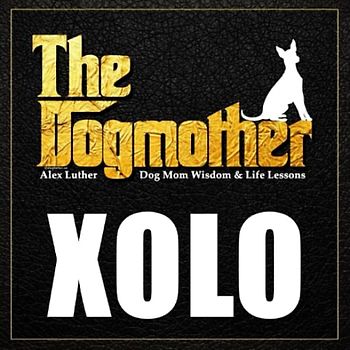 The Dogmother: Xolo: (Dog Mom Wisdom & Life Lessons)