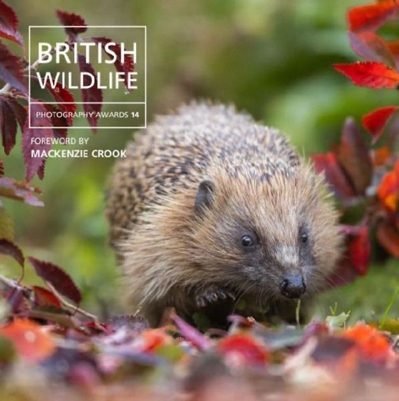 British Wildlife Photography Awards 14