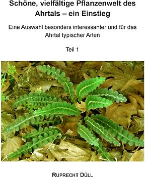 Schöne, vielfältige Pflanzenwelt des Ahrtals - ein Einstieg