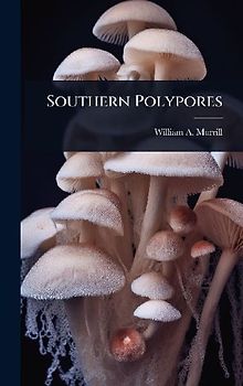 Southern Polypores