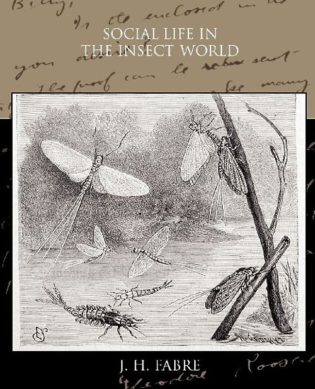 Social Life in the Insect World