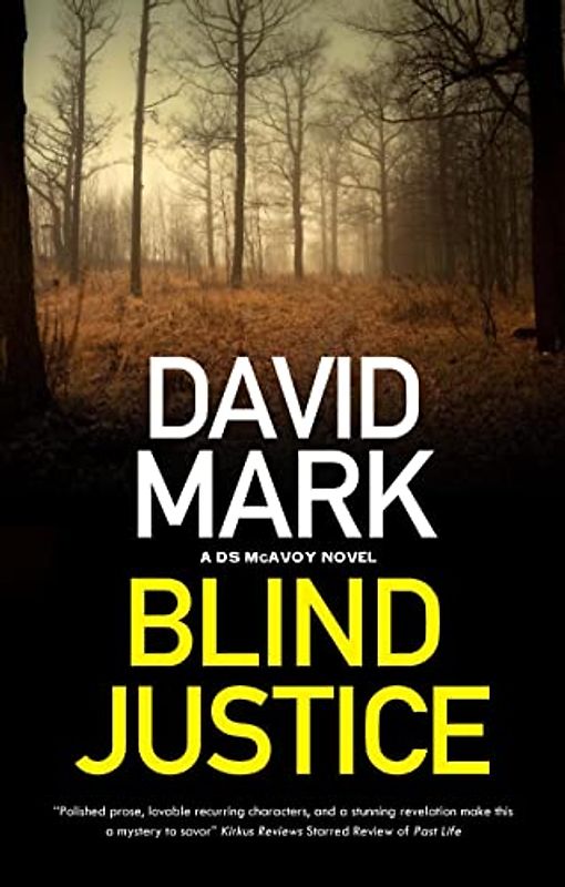Blind Justice (The DS Aector McAvoy, 10)
