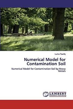 Numerical Model for Contamination Soil