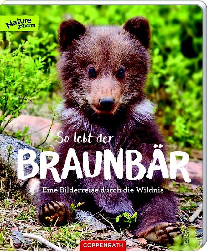 So lebt der Braunbär