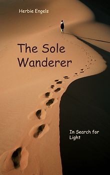 The Sole Wanderer