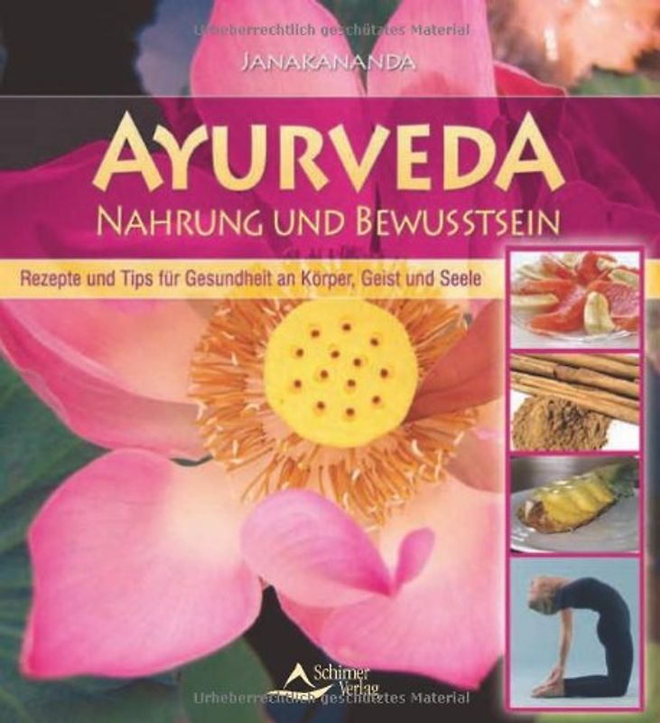 Ayurveda-Nahrung und Bewußtsein