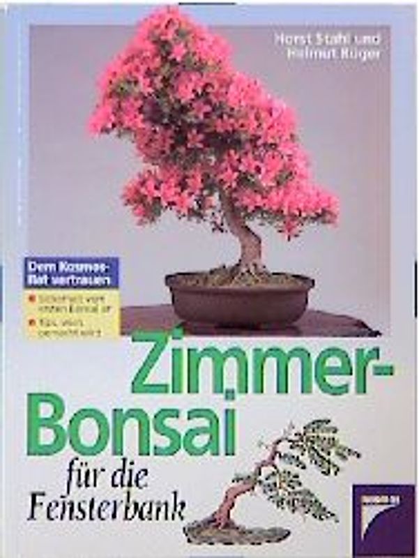 Zimmer-Bonsai für die Fensterbank