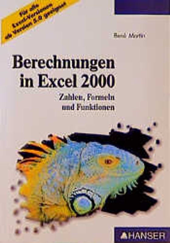 Berechnungen in Excel 2000