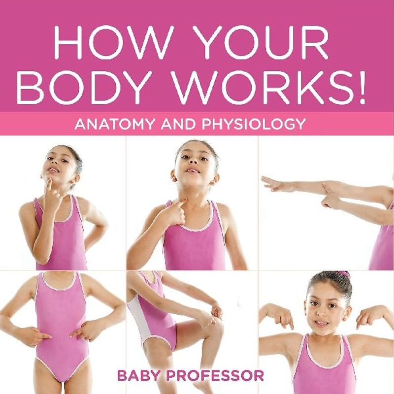 How Your Body Works! | Anatomy and Physiology