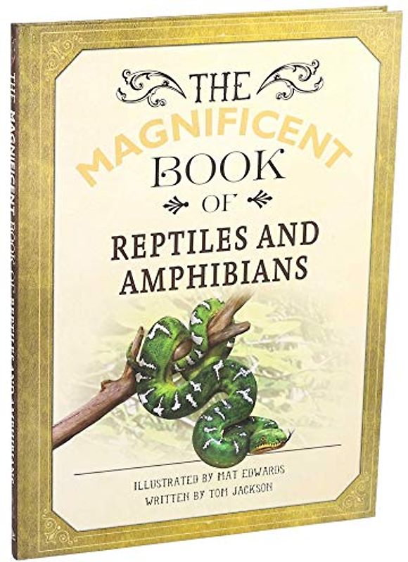 Magnificent Book of Reptiles and Amphibians (The Magnificent Book of)
