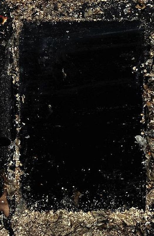 Baron Wenckheim's Homecoming