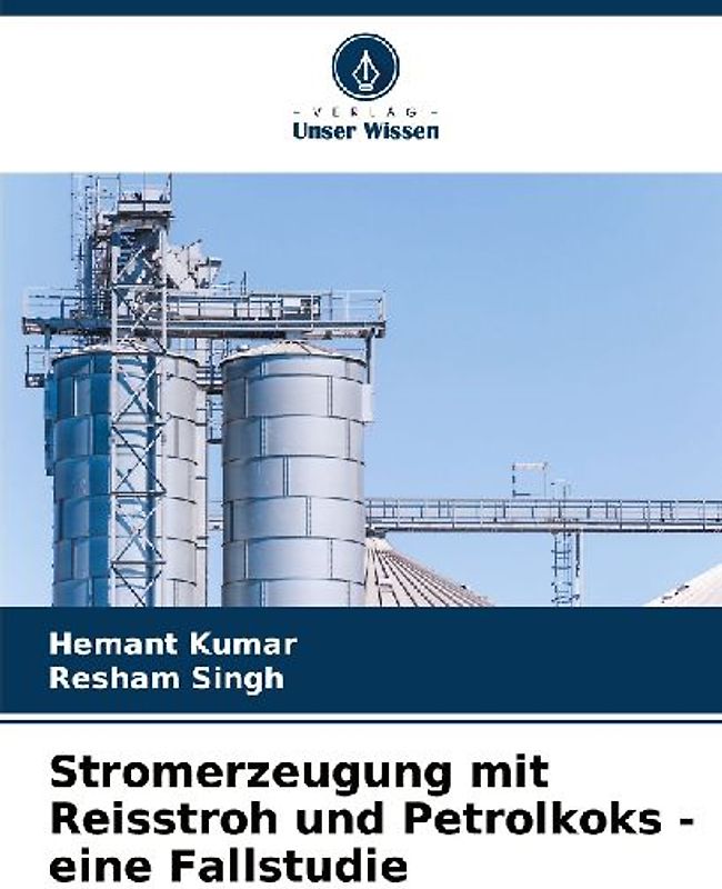 Stromerzeugung mit Reisstroh und Petrolkoks - eine Fallstudie