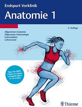 Endspurt Vorklinik: Anatomie 1