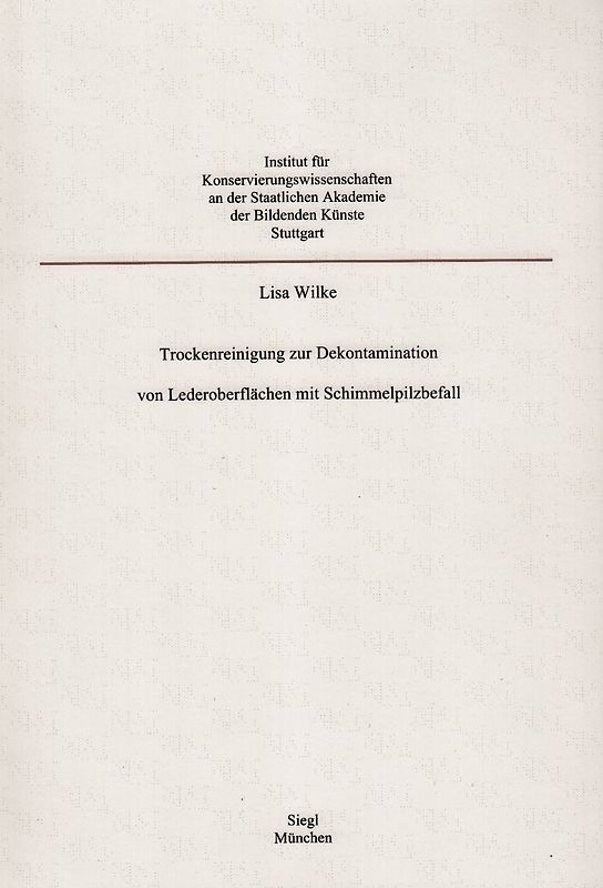 Trockenreinigung zur Dekontamination von Lederoberflächen mit Schimmelpilzbefall