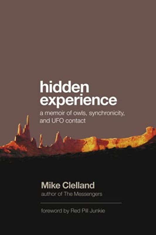 Hidden Experience: a memoir of owls, synchronicity, and UFO contact