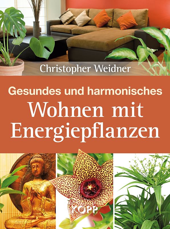 Gesundes und harmonisches Wohnen mit Energiepflanzen