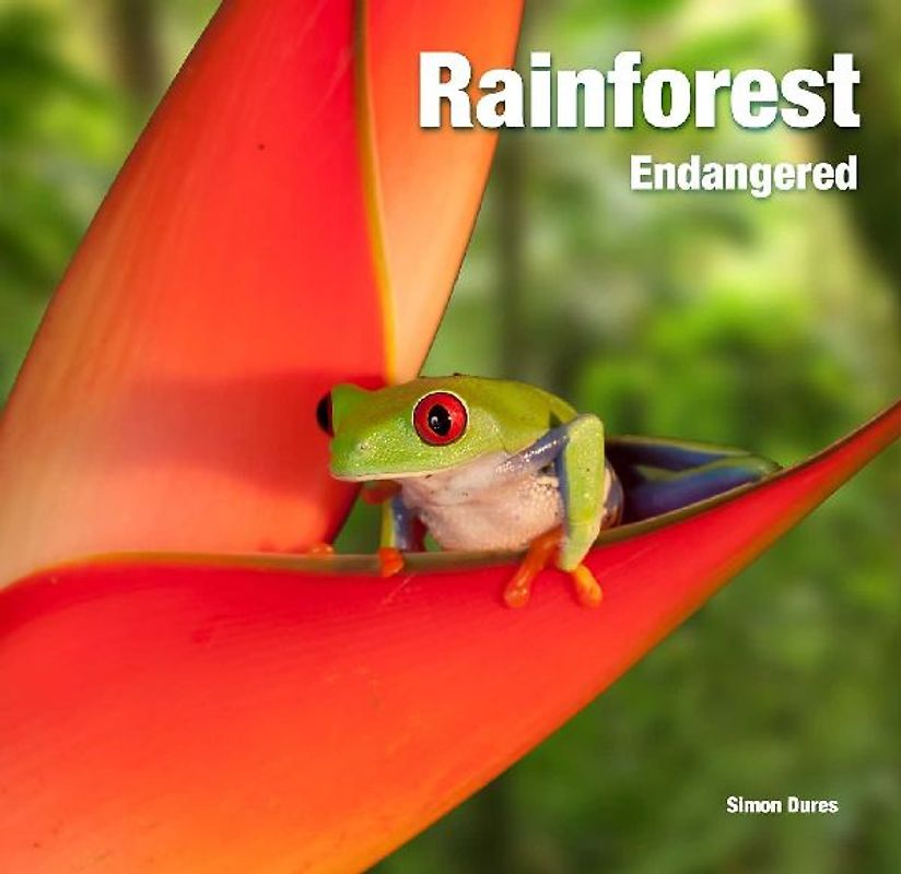 Rainforest Endangered