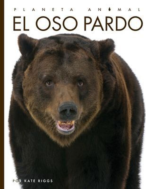 El Oso Pardo