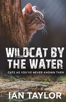 Wildcat By The Water